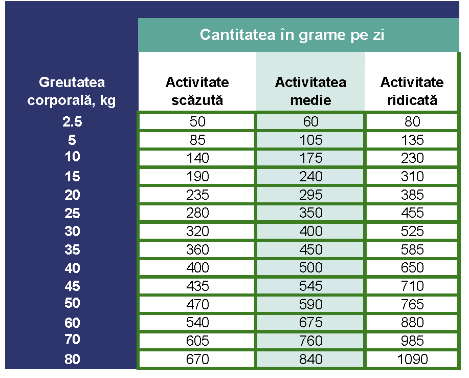 Prins ProCare – Pentru probleme articulare și/sau de mobilitate cu pui
