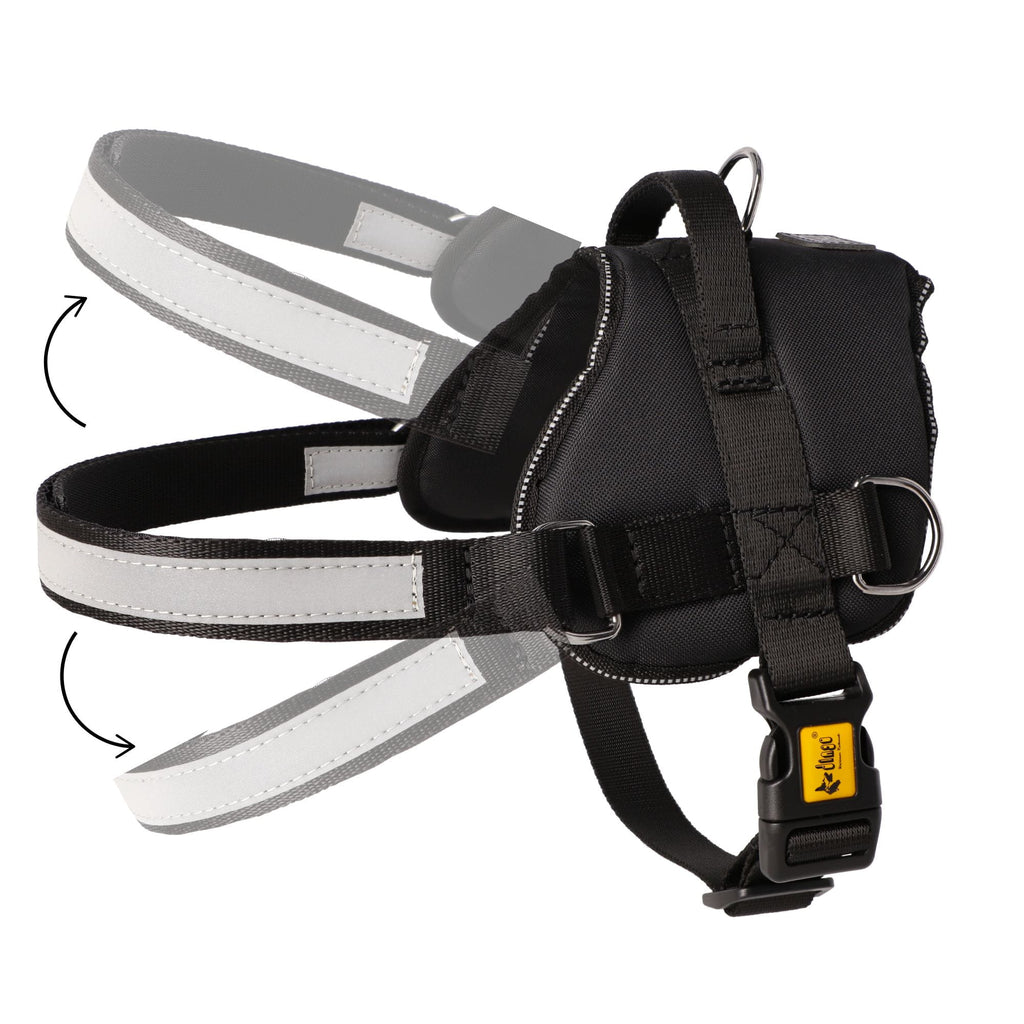 Ham pentru câini din bandă STRONG