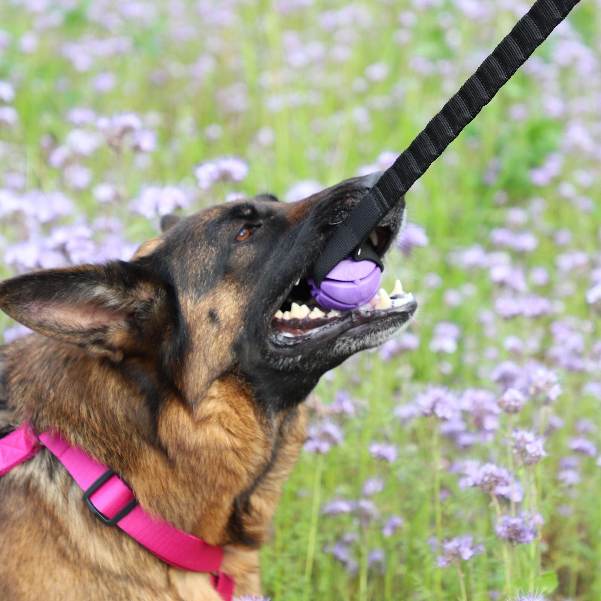 Minge jucărie cu mâner elastic