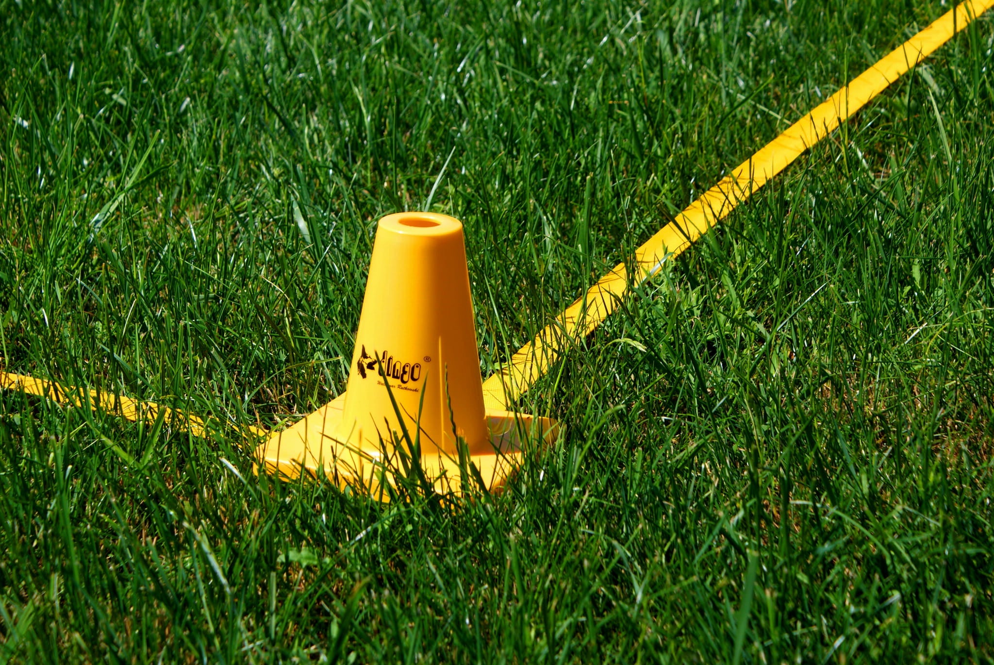 Con, marker pentru obedience – set de 4 bucăți