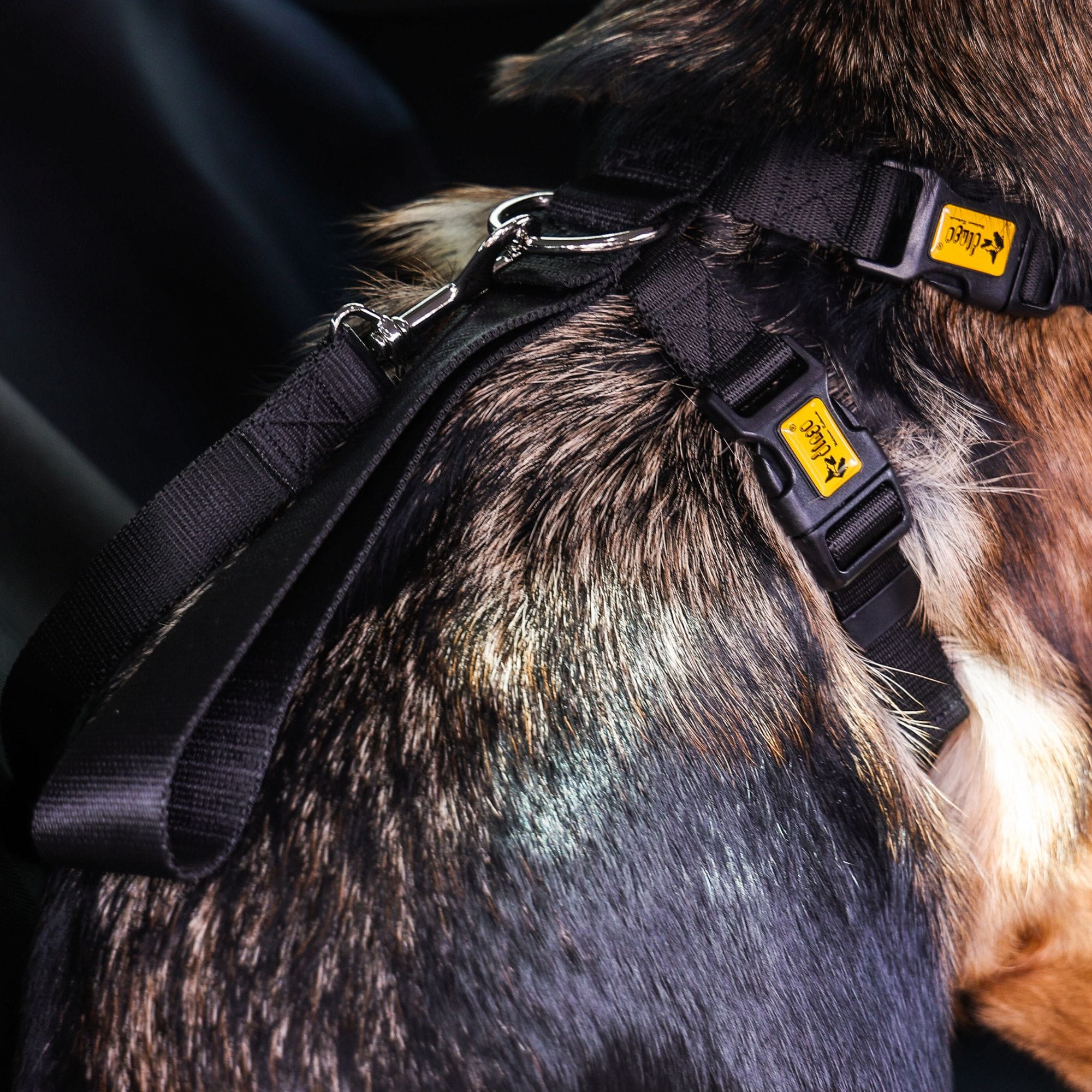 Ham de siguranță pentru câini pentru mașină