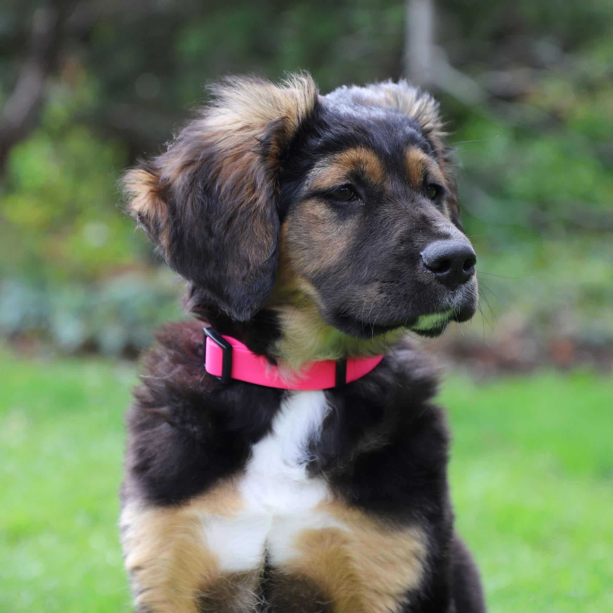 Zgardă reglabilă flex