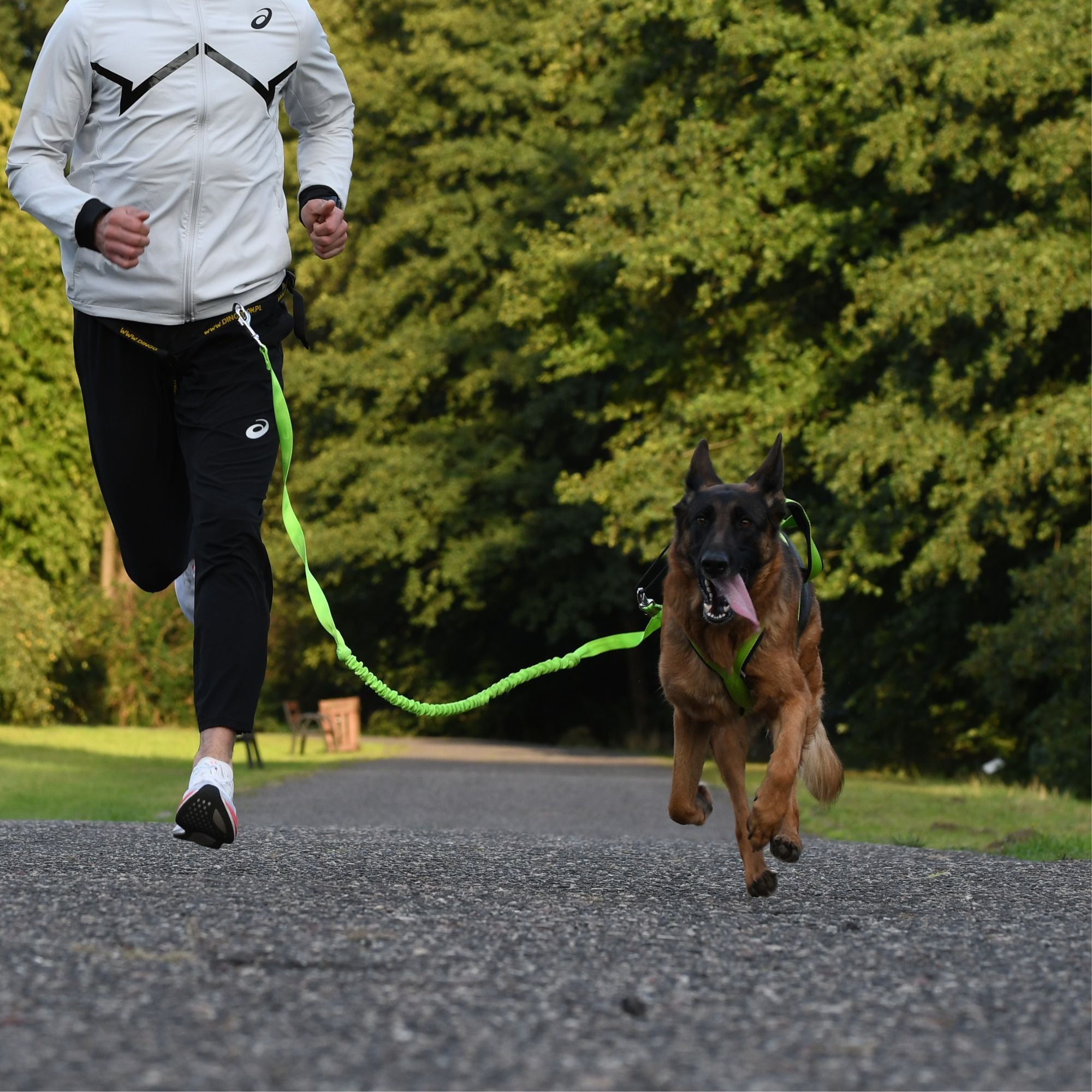 Centură de alergare 4 în 1