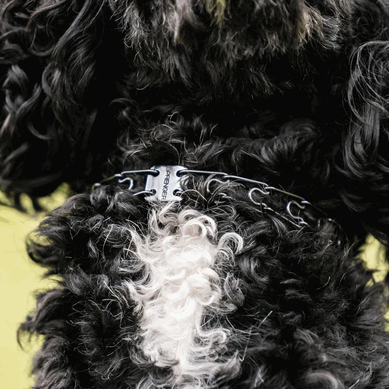 ULTRA-PLUS Micro Zgardă de dresaj pentru câine cu plăcuță centrală și lanț de asamblare – Oțel inoxidabil negru, 1,5 mm, 32 cm / 13