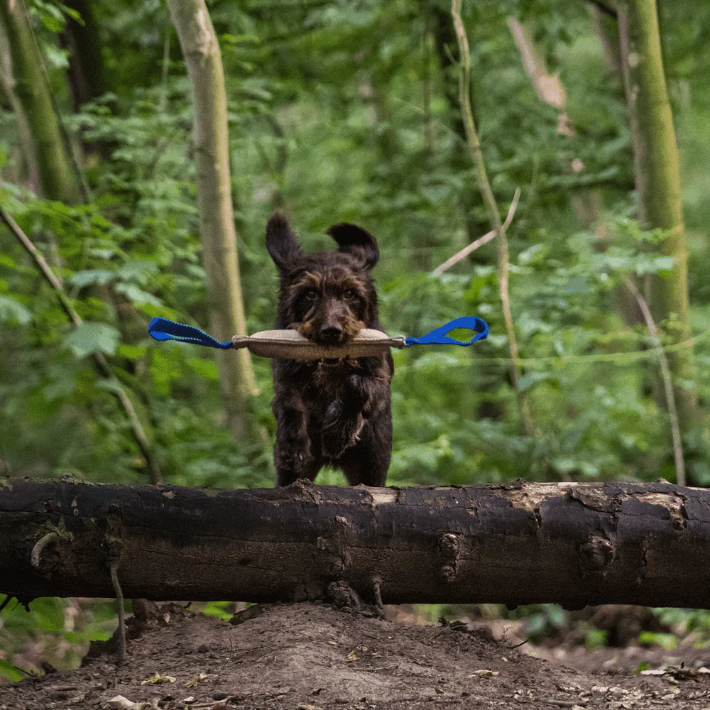 Bite Tug Sprenger – Iută