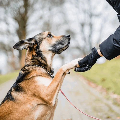 Mănușă FLEXGRIP SPORT Sprenger