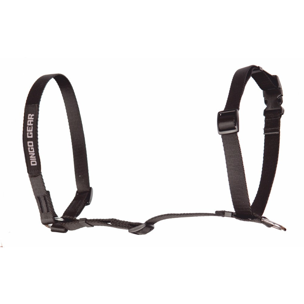 Dingo Gear – ham de urmă din bandă TRACY, culoare neagră