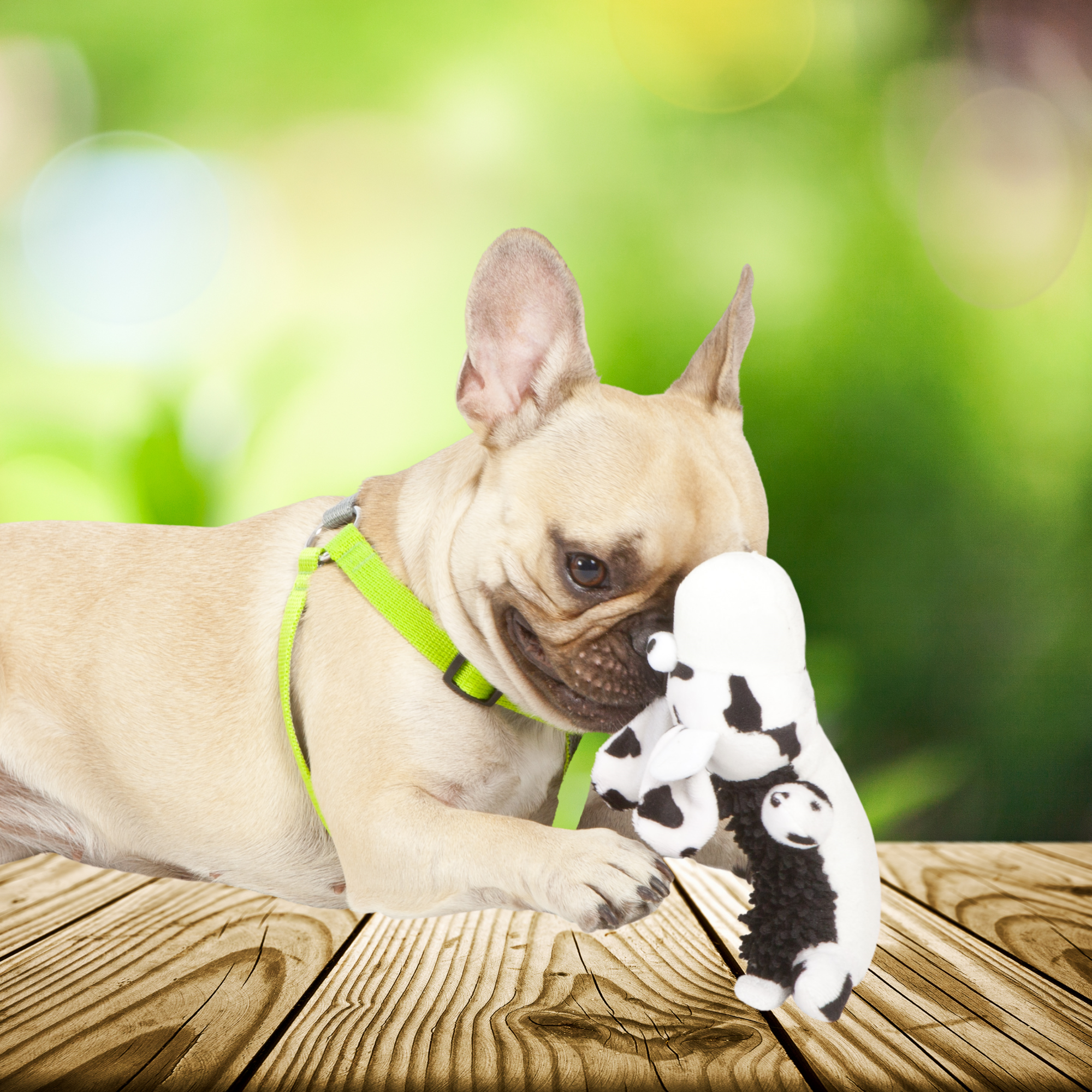 Ham tip step-in pentru câini Energy Silver