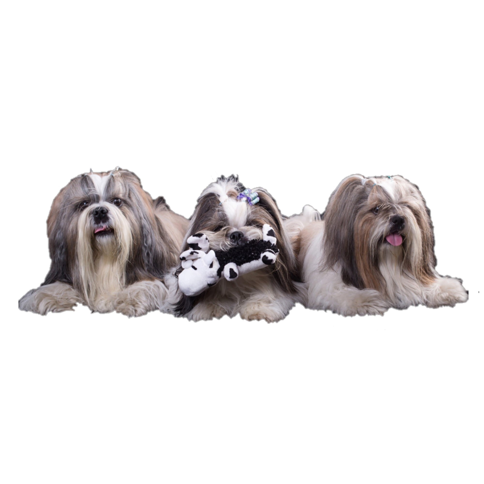 Jucărie plușată tip mop cu fluier pentru câini – vacă