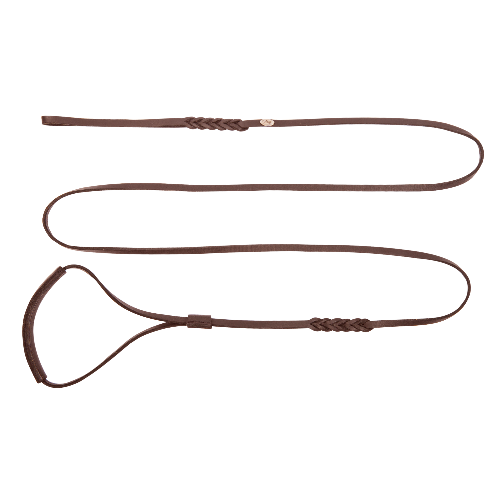 Lesă tip inel pentru câini