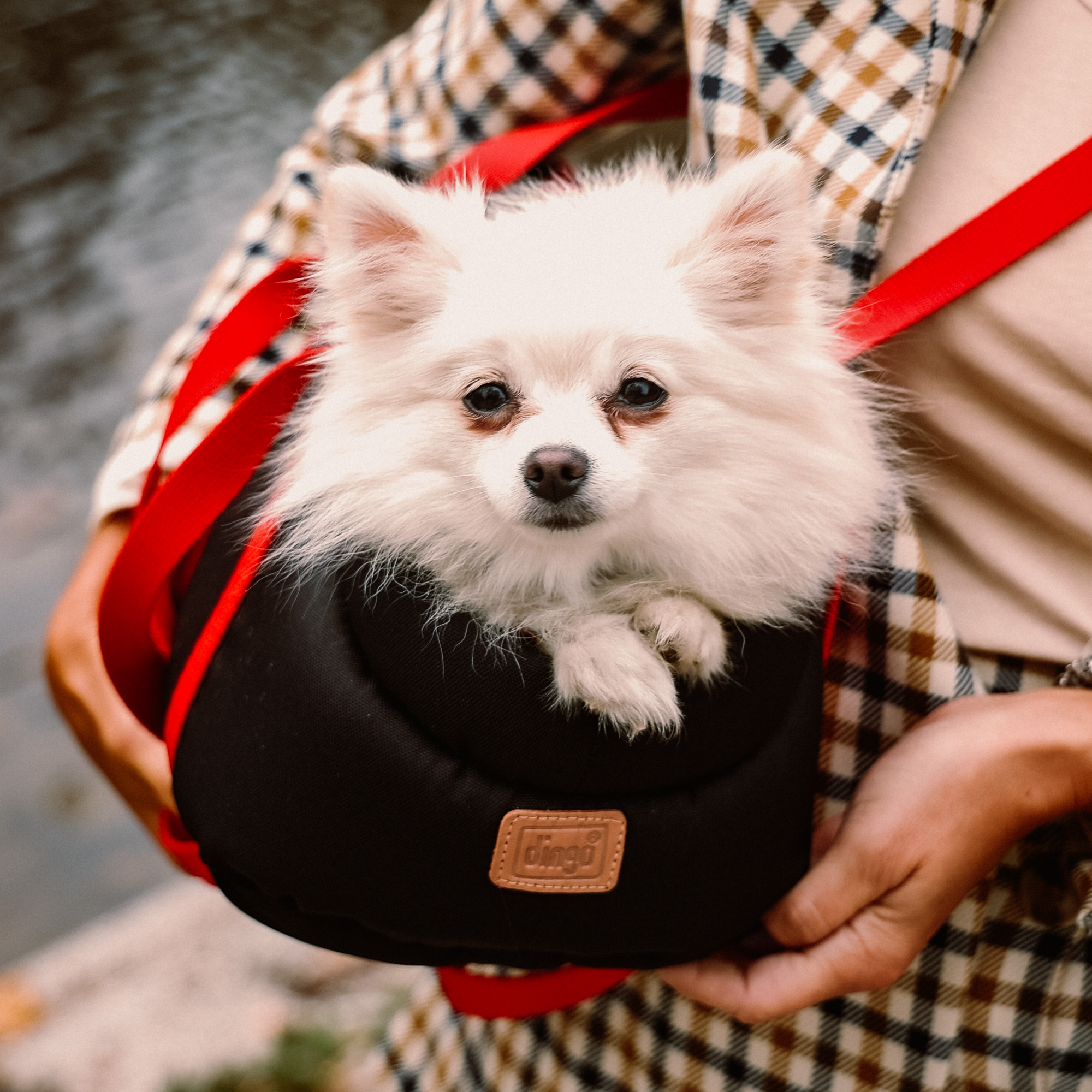 Geantă de transport cu saltea Power