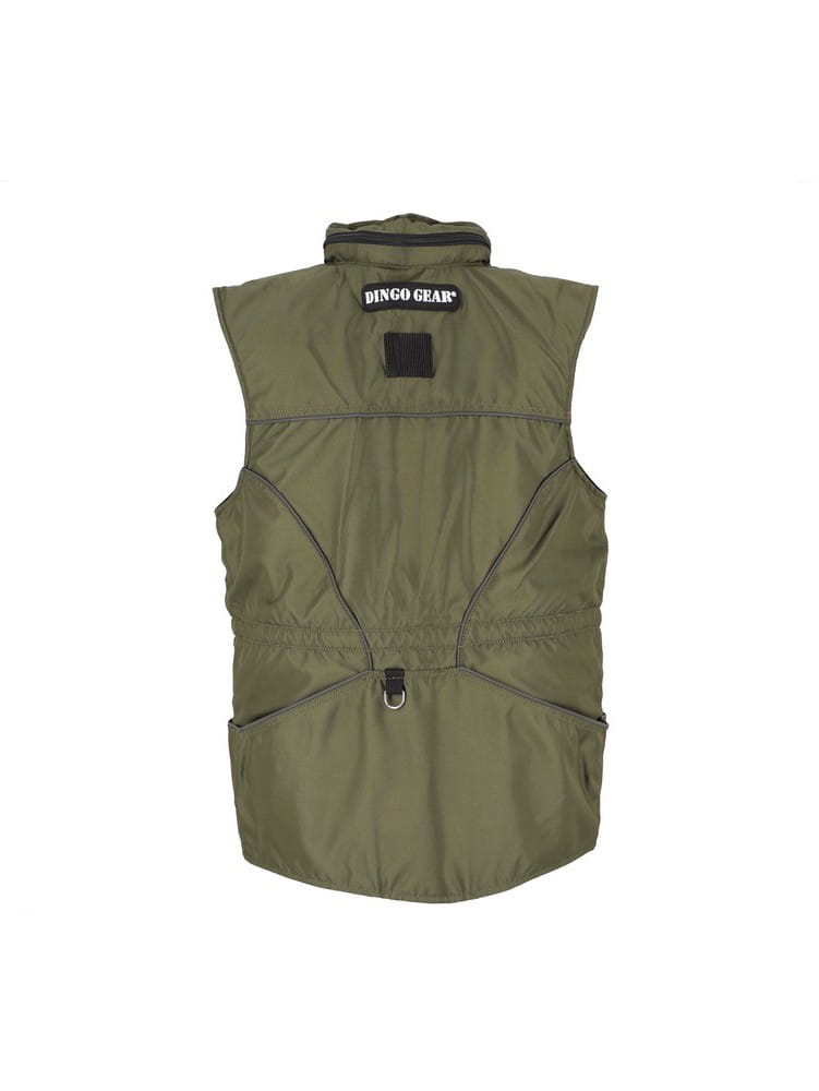 Dingo Gear – Vestă de antrenament canin pentru toate anotimpurile, cu glugă, culoare verde