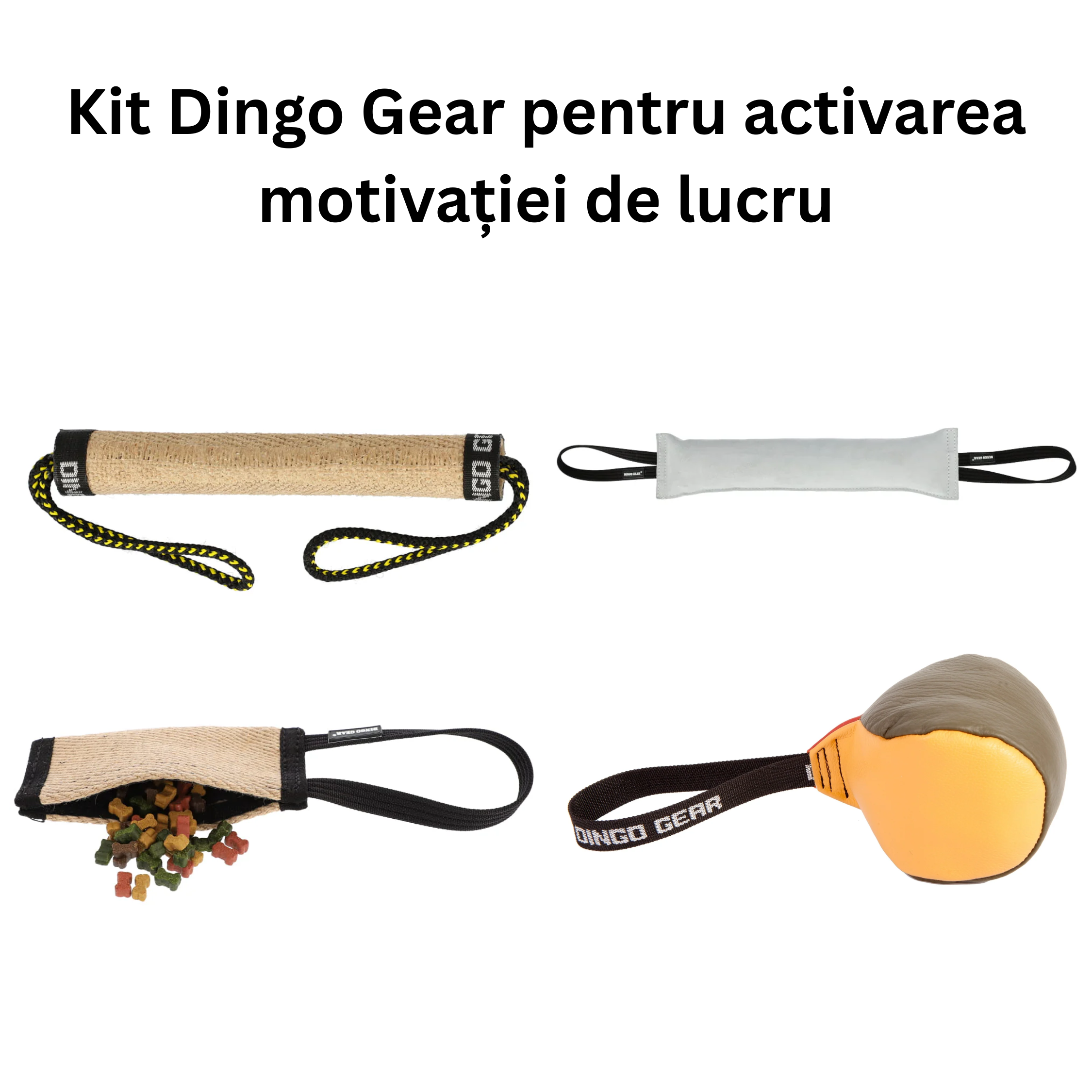 Kit Dingo Gear pentru activarea motivației de lucru