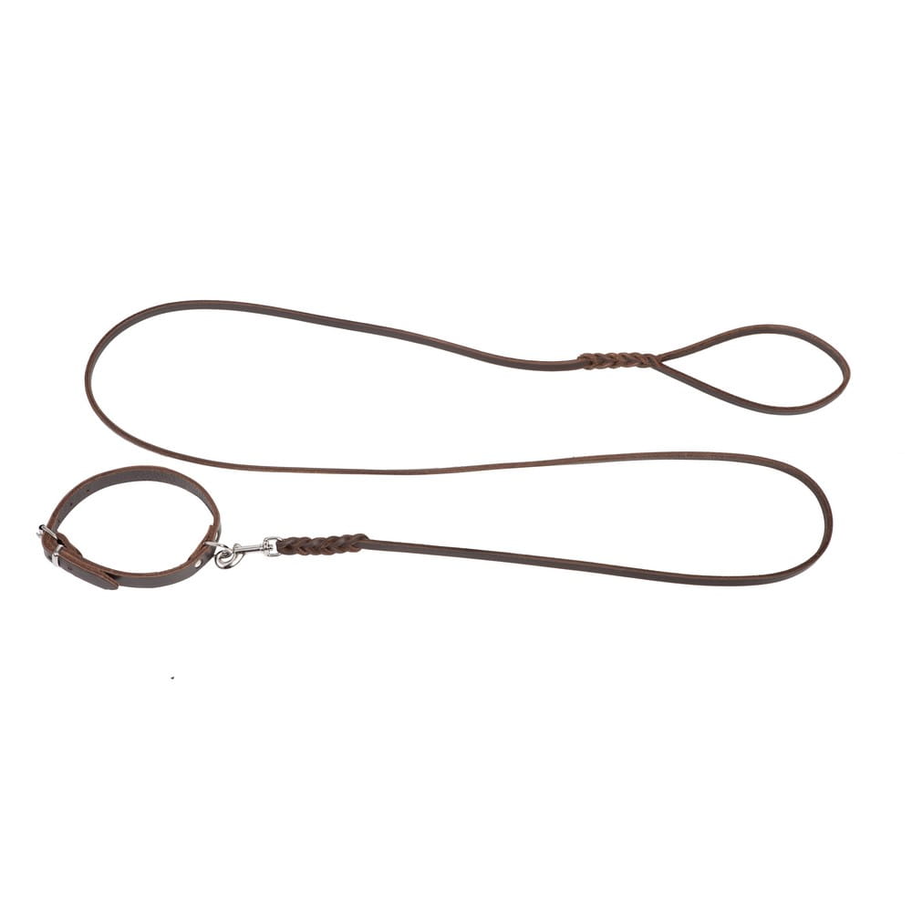 Dingo Gear – set zgardă și lesă din piele puppy