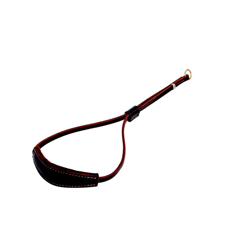 Dingo Gear – Capăt detașabil de lesă pentru show lead – zgardă de expoziție din piele