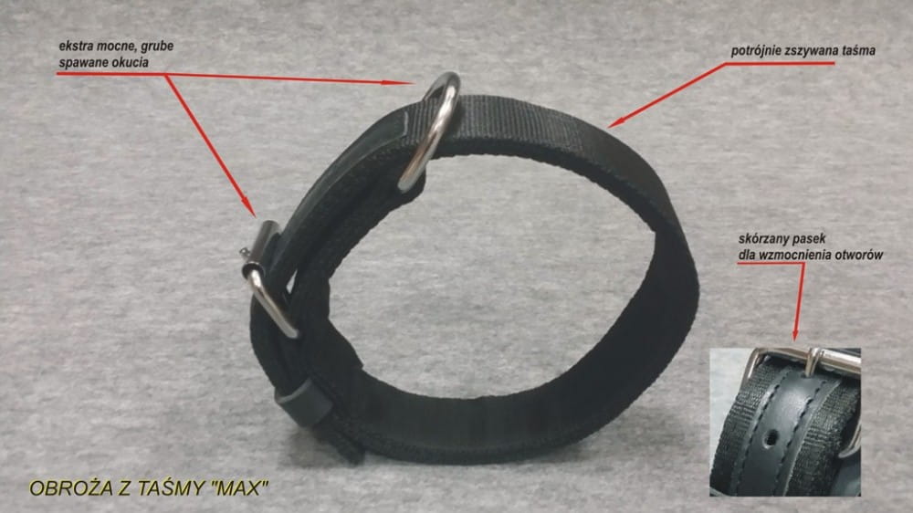 Dingo Gear MAX – zgardă din bandă, culoare neagră