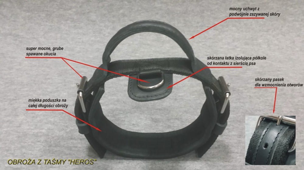 Dingo Gear – Zgardă HEROS – Din chingă de polipropilenă cu mâner