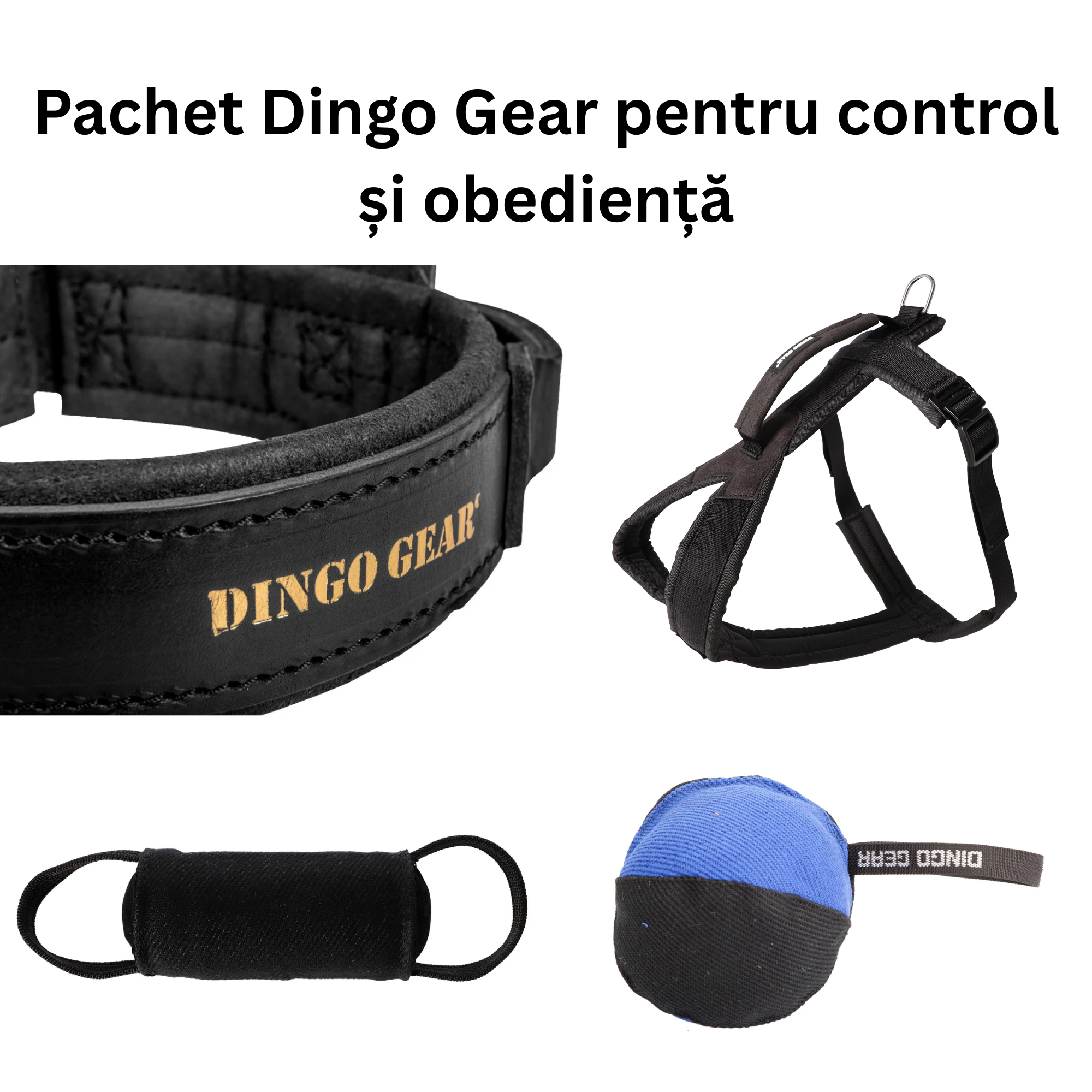 Pachet Dingo Gear pentru control și obediență