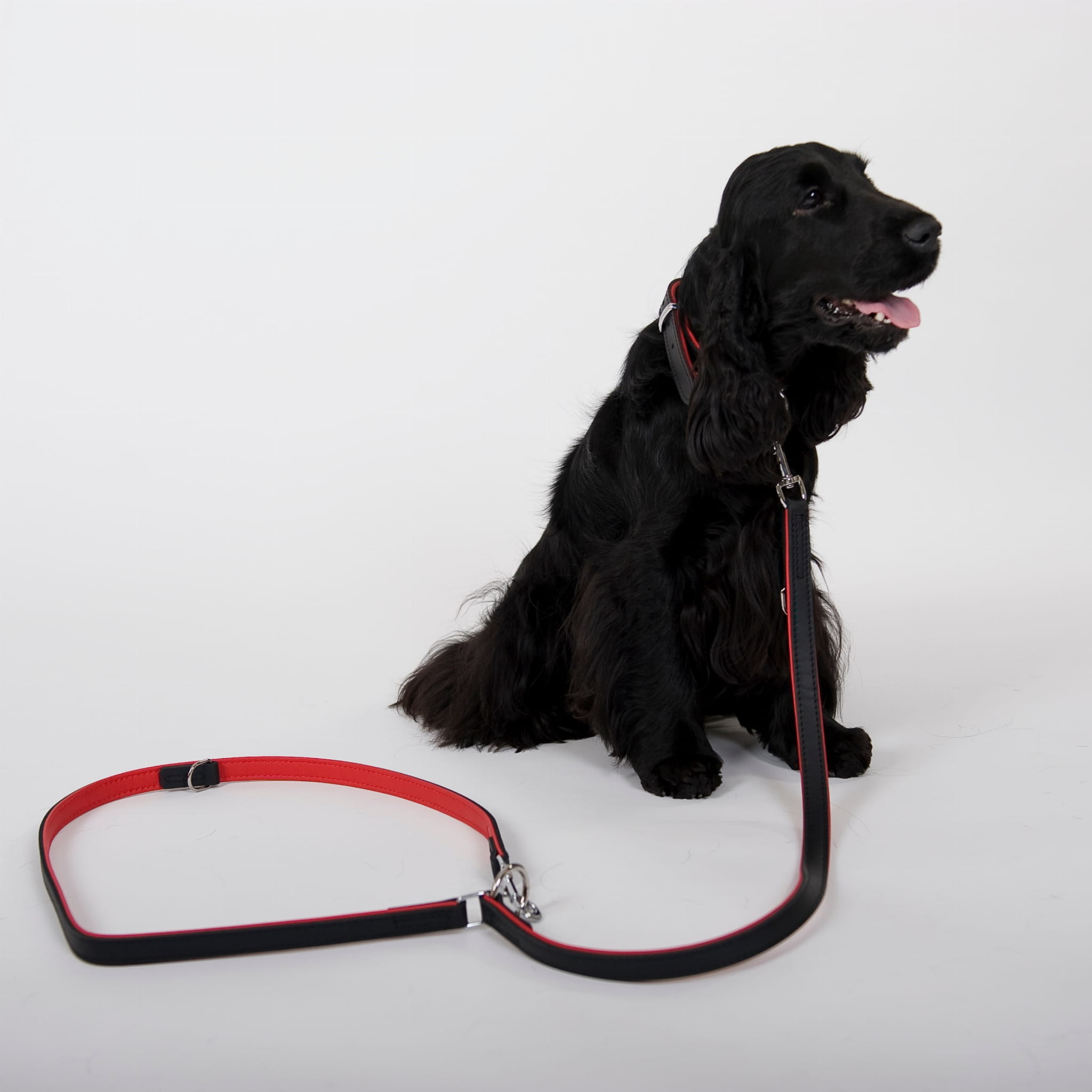 Lesă extensibilă Exclusive