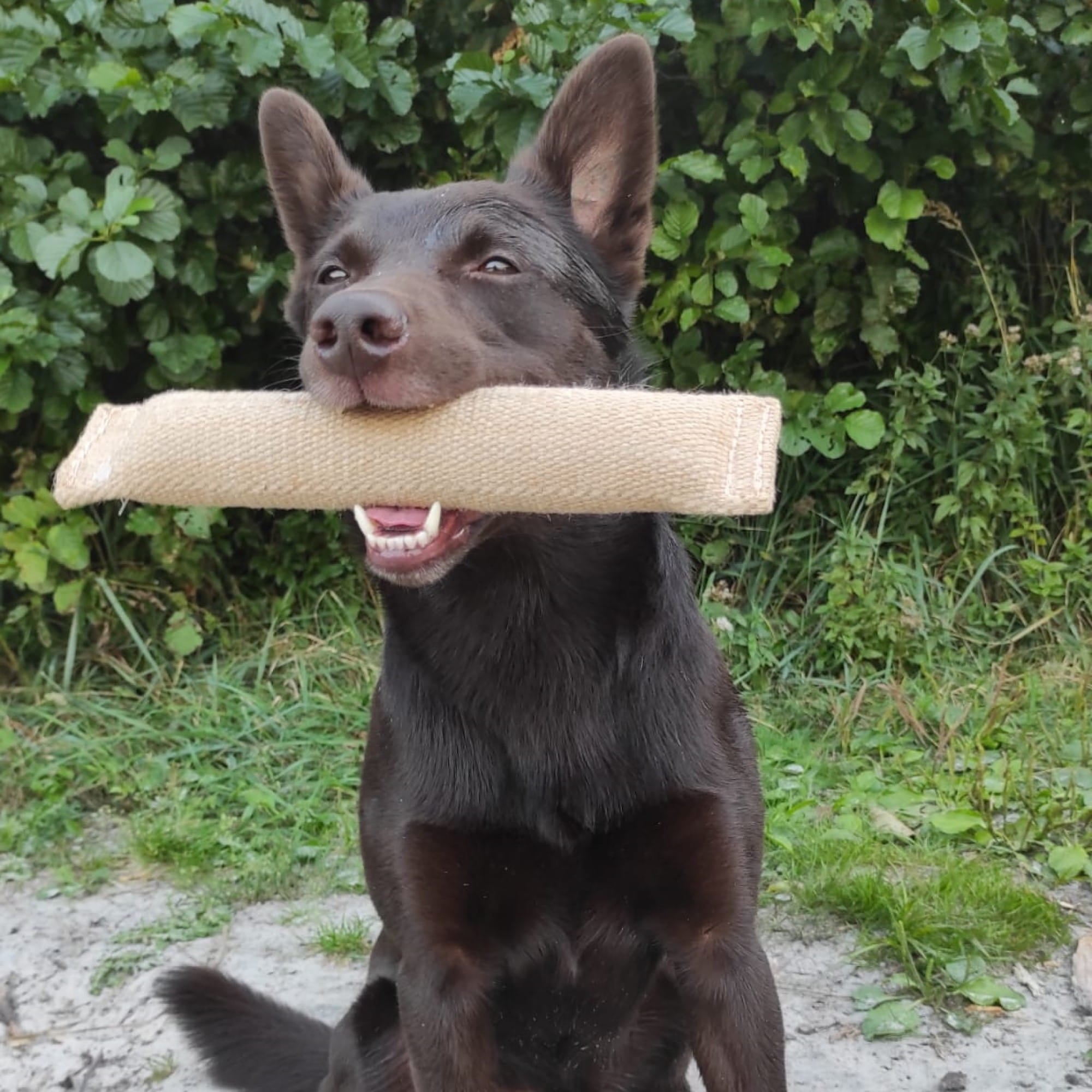 Manșon de dresaj din iută fără mâner 6,0 x 28 cm