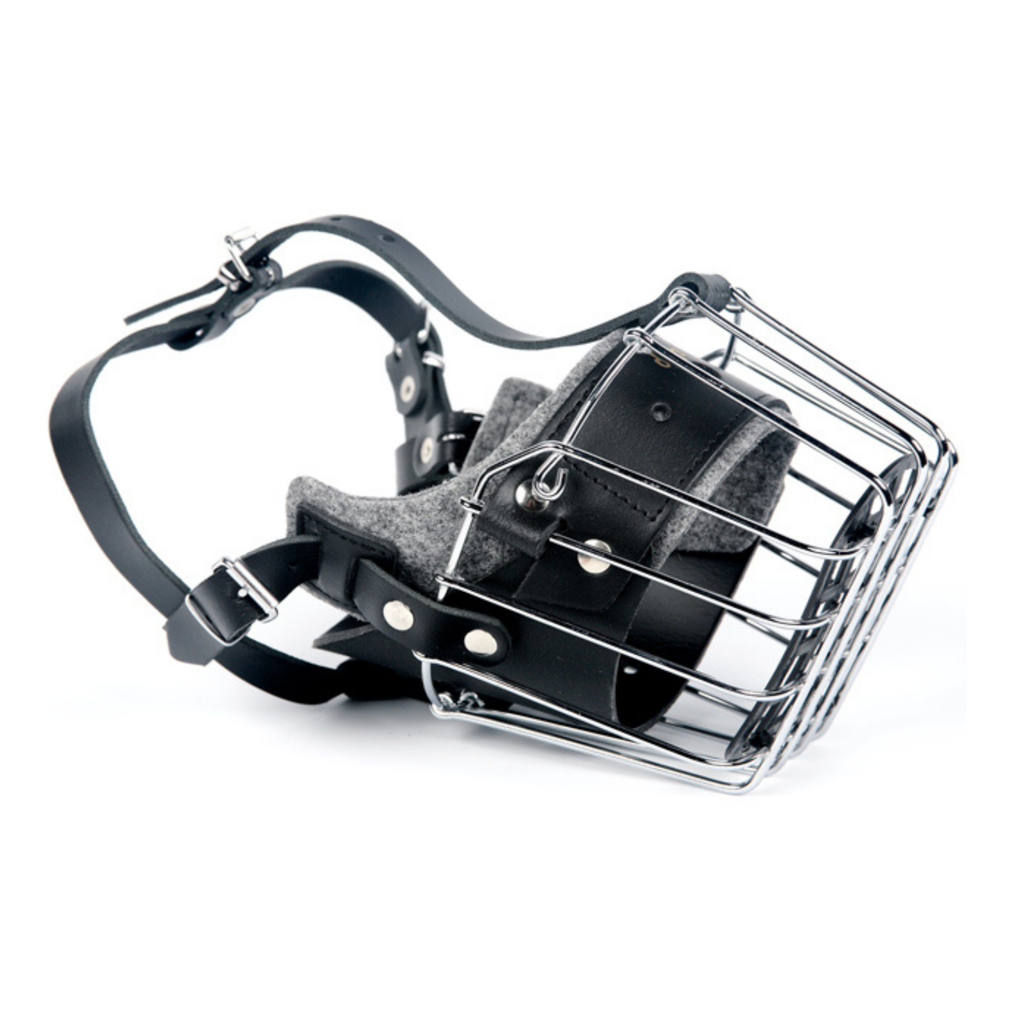 Botniță întărită pentru câiniÎ