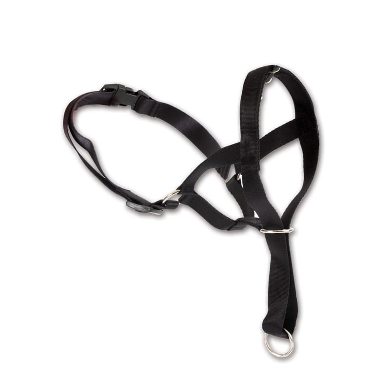 Ham de cap pentru câini