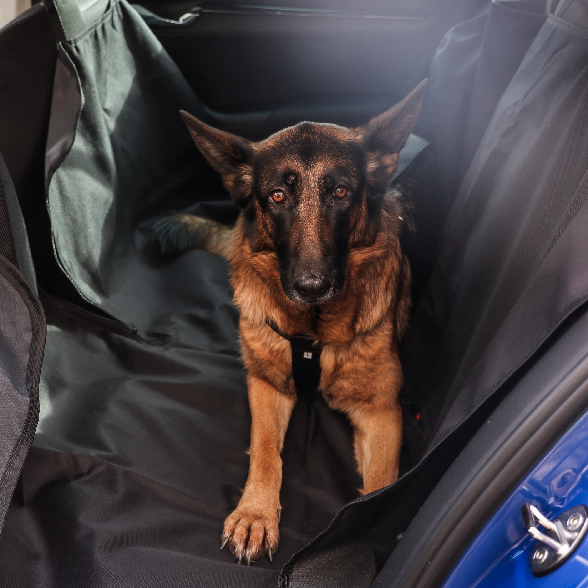 Covoraș din cordura pentru mașină