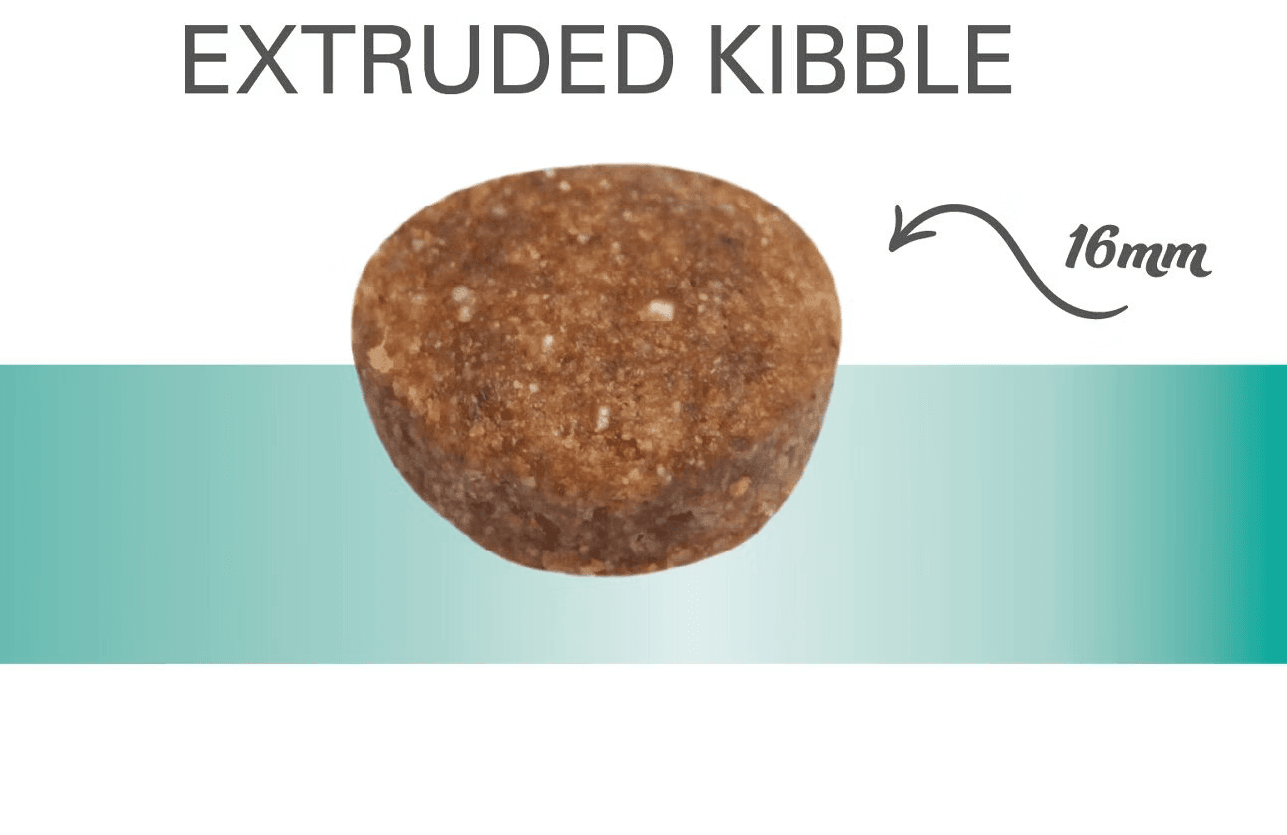 Prins ProCare – Hrana Uscata Pentru probleme gastro-intestinale și/sau pancreatită cu somon și orez